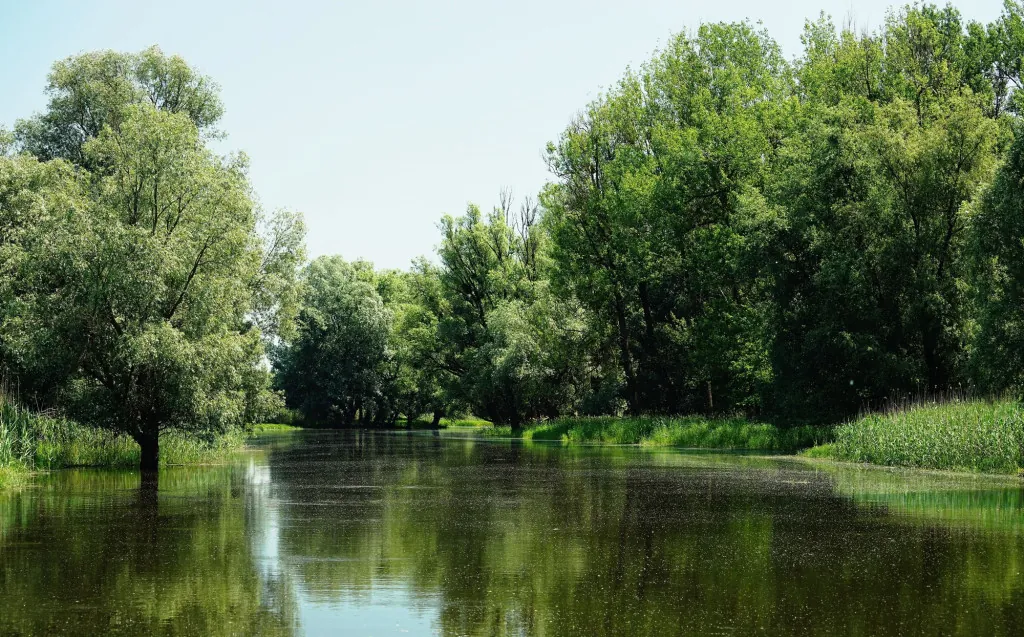 Biodiversiteit in Kopacki Rit