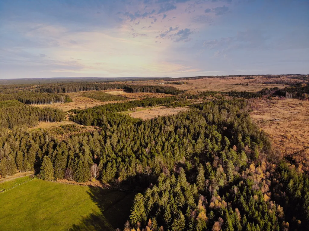 Wandelen door het heuvelachtige Hoge Venen