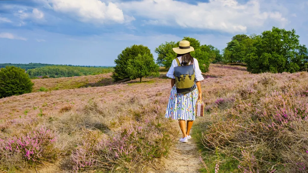 Heidschnuckenweg: Historische wandelroute