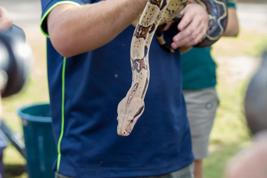 Wat kun je verwachten in reptielenpark Happ?
