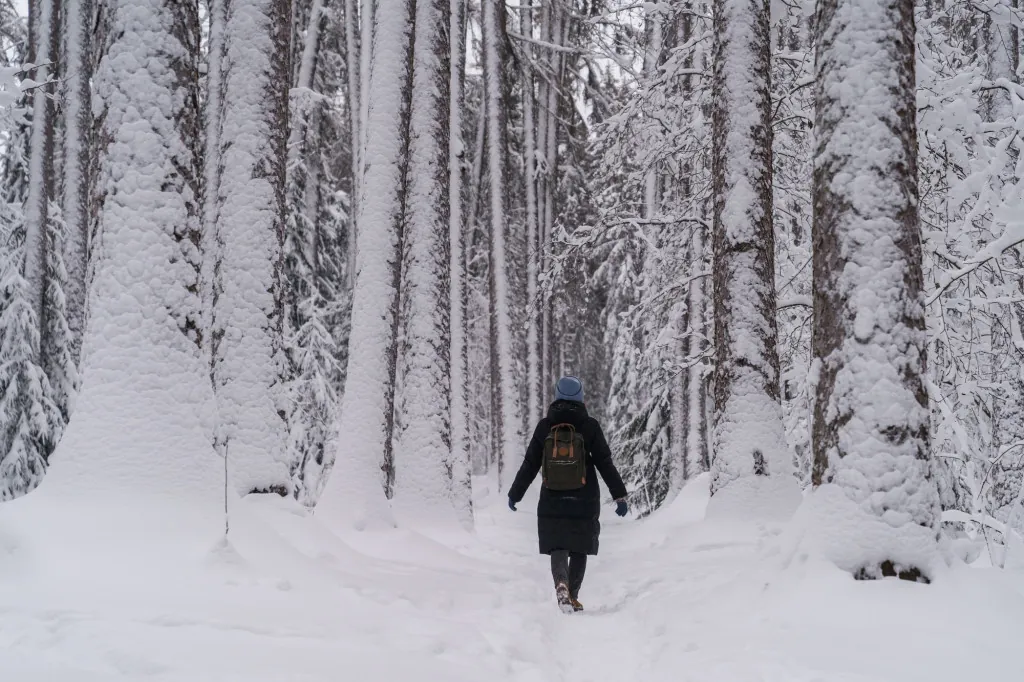 Sneeuwschoenwandelen in Karinthië