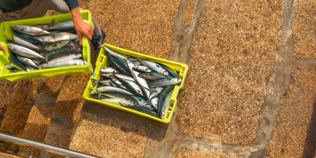 Vissersdorp L'Ametlla de Mar verkennen