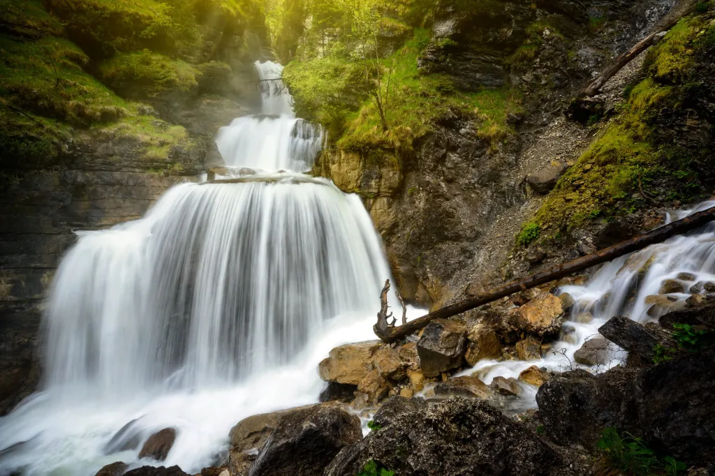 Natuurervaringen in het Beierse Woud Nationaal Park