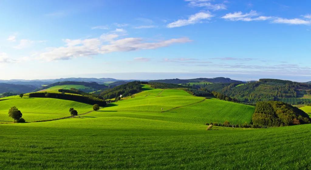Zomerwandelen in het Rothaargebergte: de mooiste routes