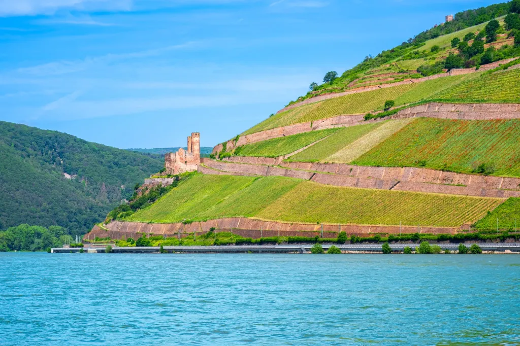 Wat te zien in Rüdesheim aan de Rijn?