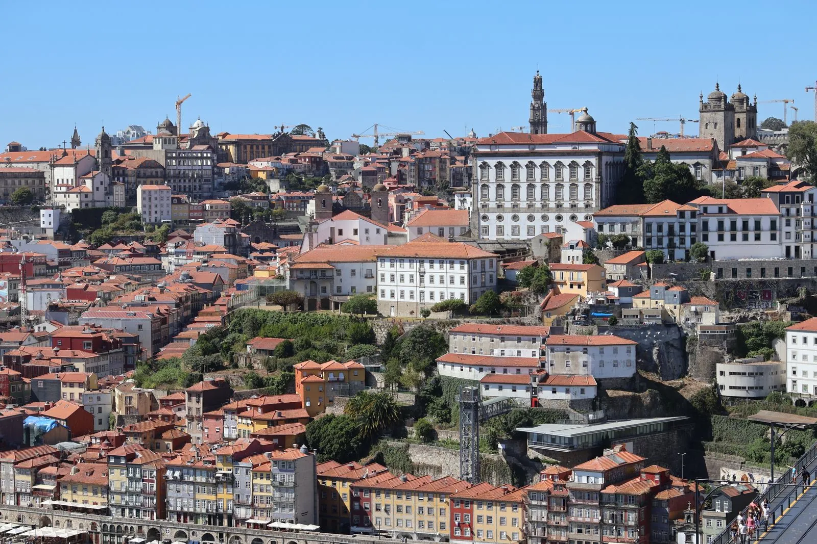 Het prachtige uitzicht vanaf de Torre dos Clérigos