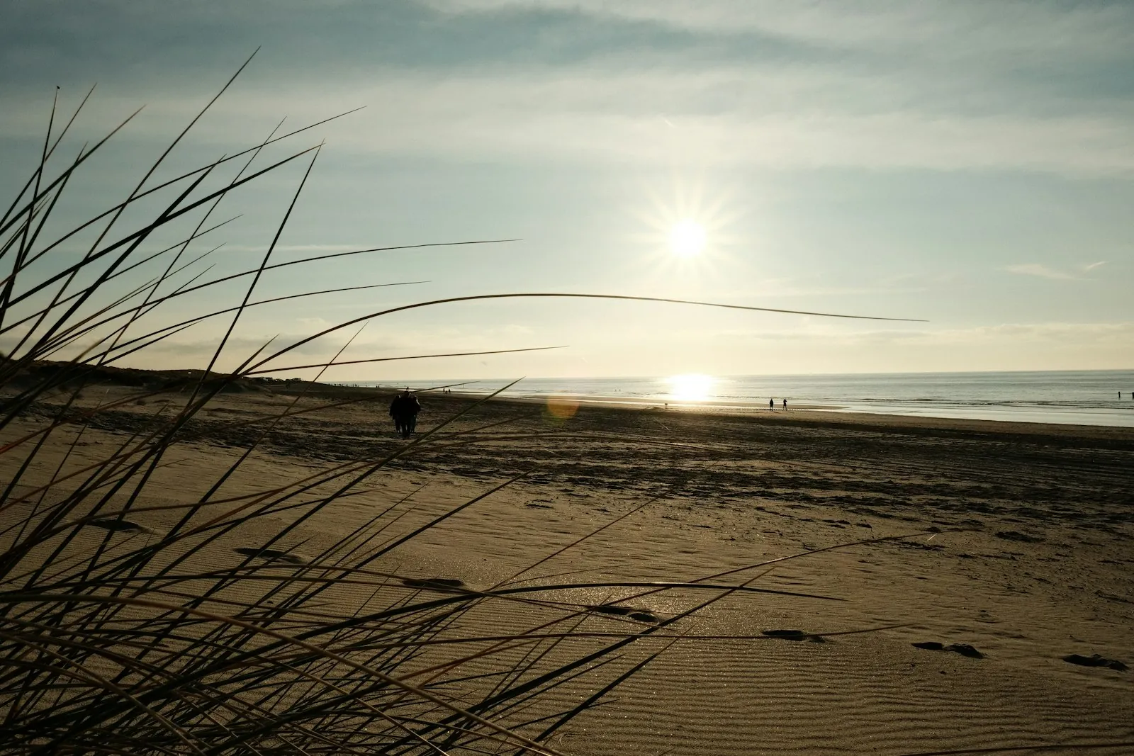 Vakantiehuis in Domburg