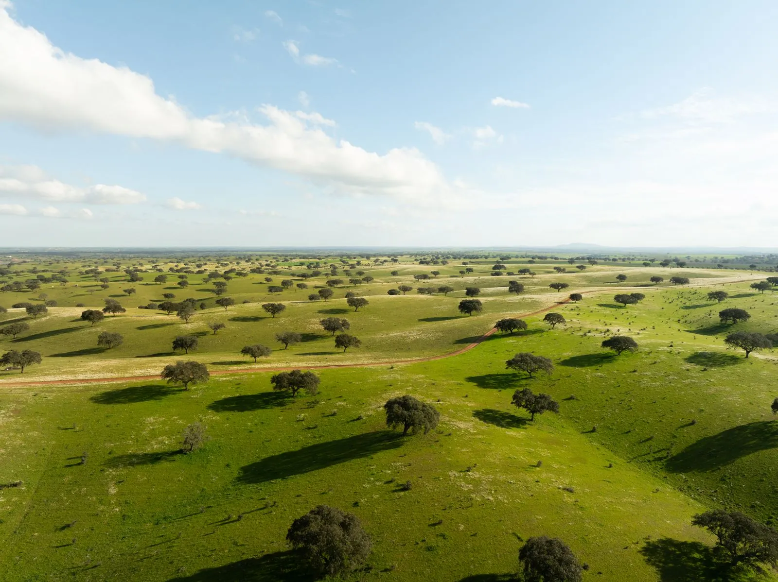 Gastvrijheid ervaren in Alentejo's platteland