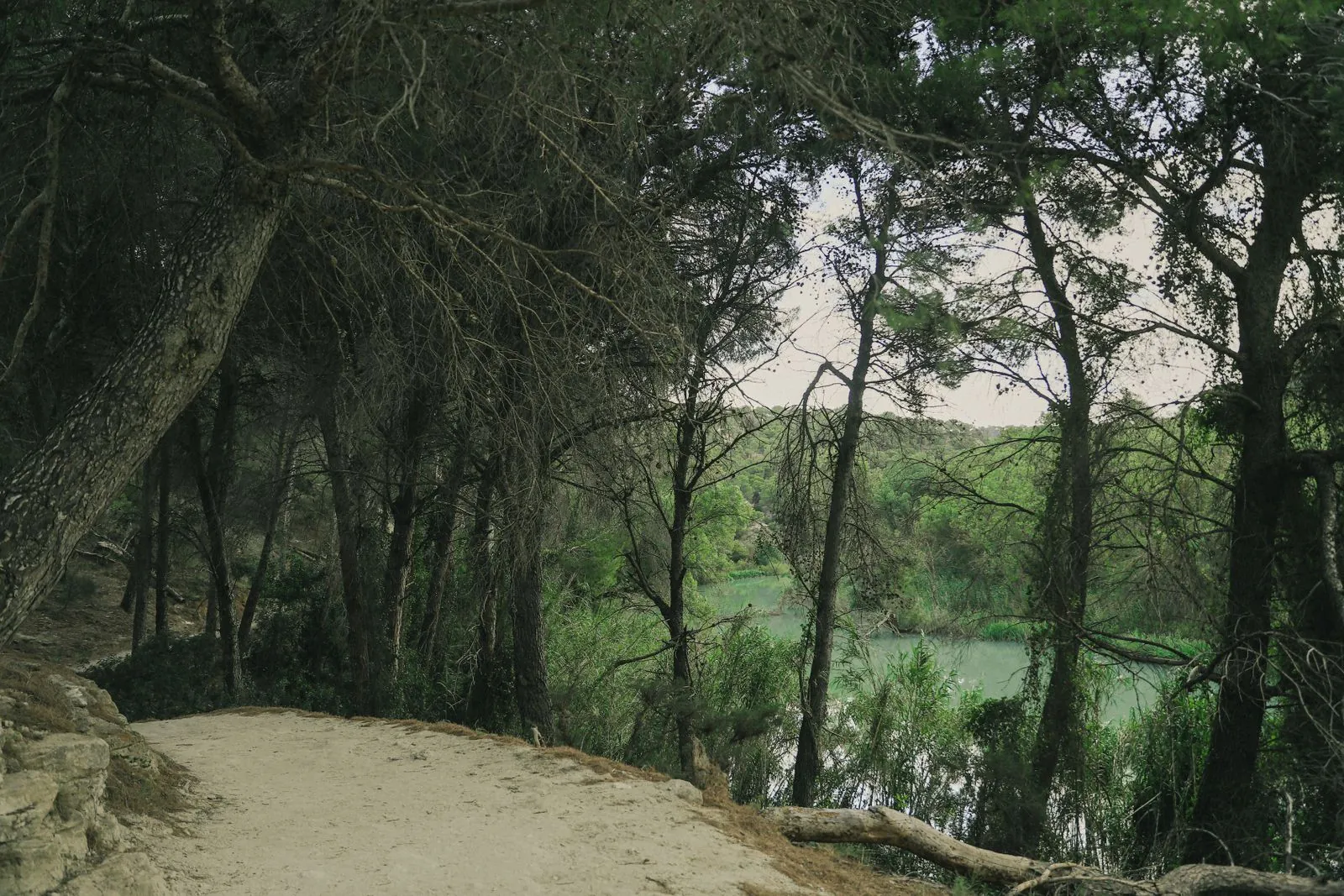 Verbinding van rivier en stad via deze wandelroute