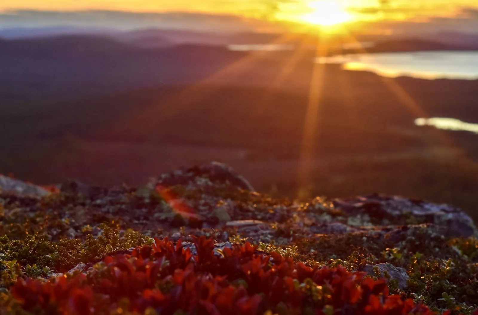 Vakantiehuis in Norrbotten