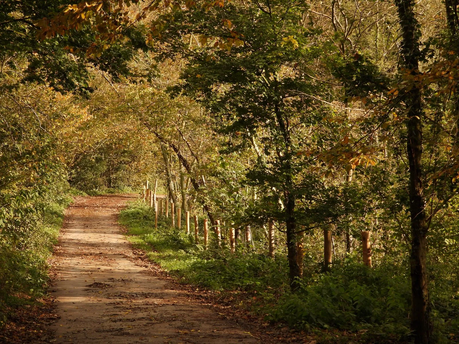 Tips voor wandelen langs de Vézère