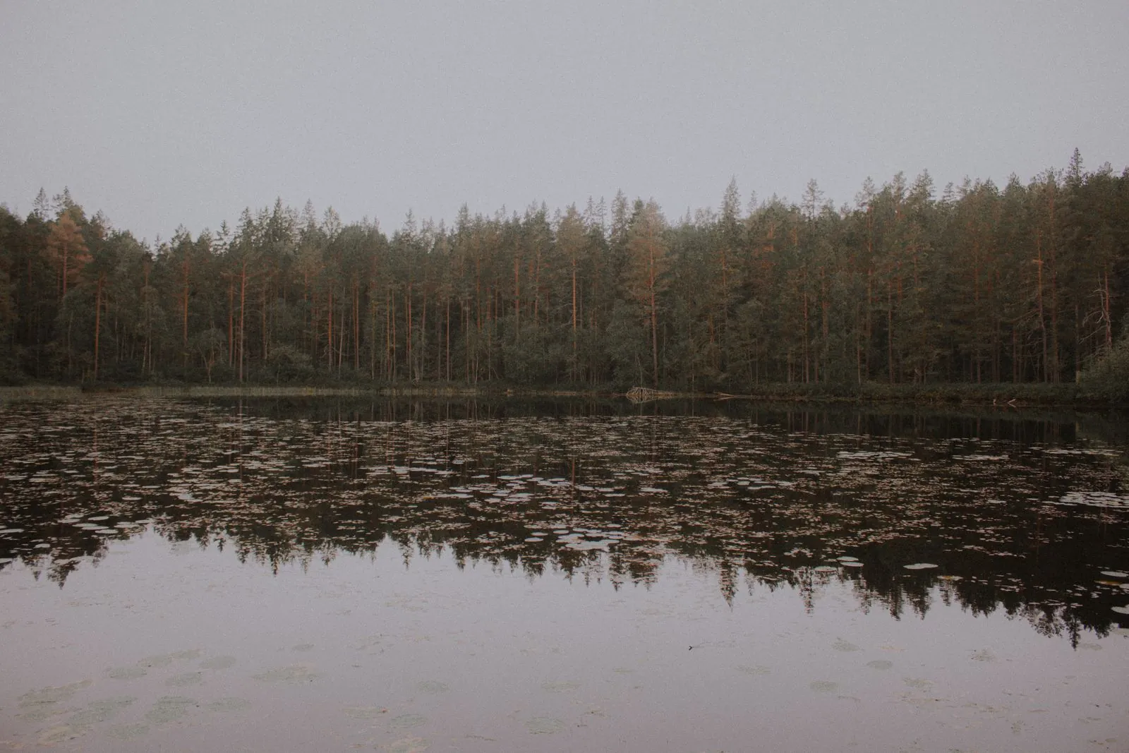 Ontdek de diepe bossen en heldere meren van Tiveden