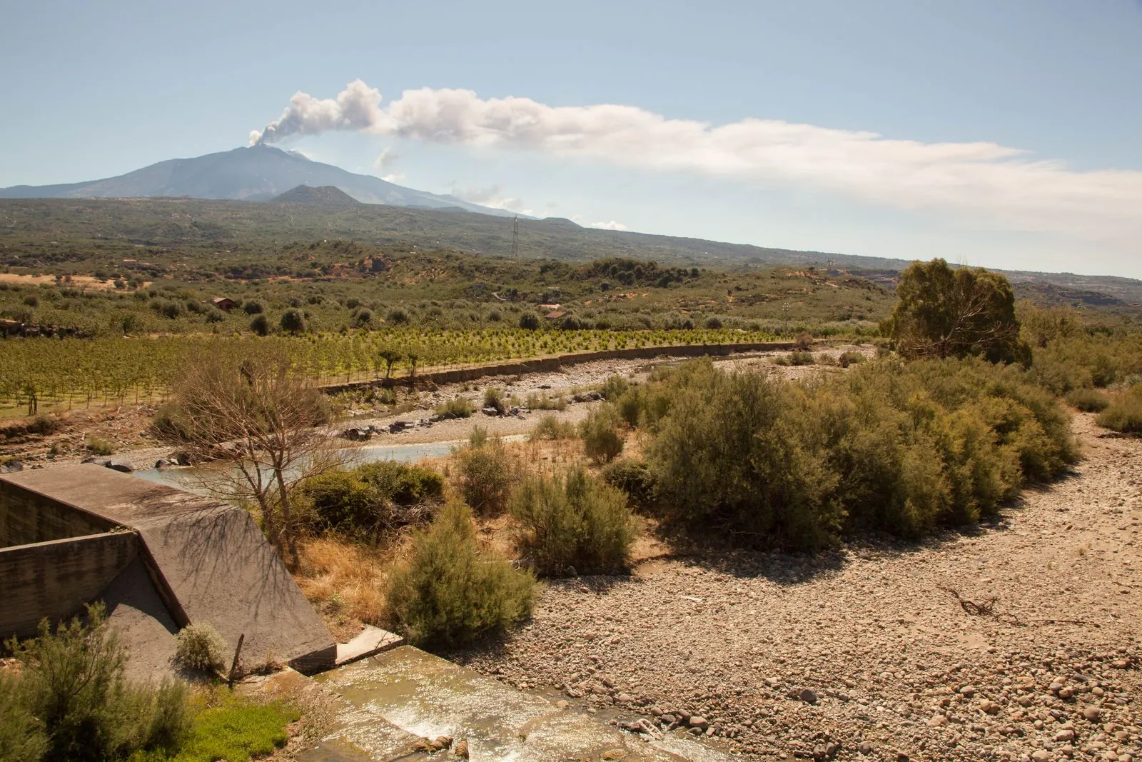 Proef de lokale wijnen in de wijngaarden rondom de Etna