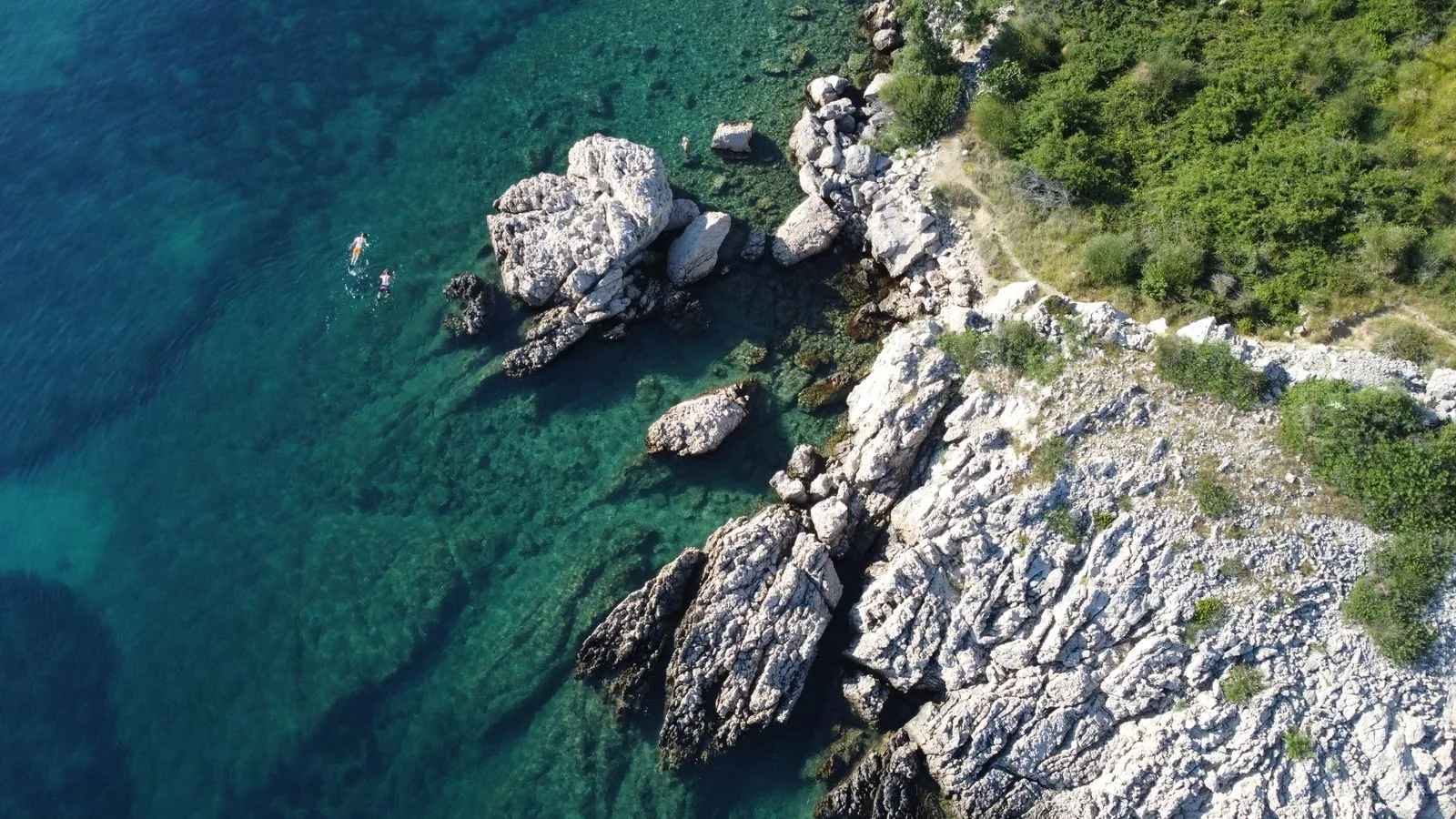 Snorkelen en de onderwaterwereld van Lošinj