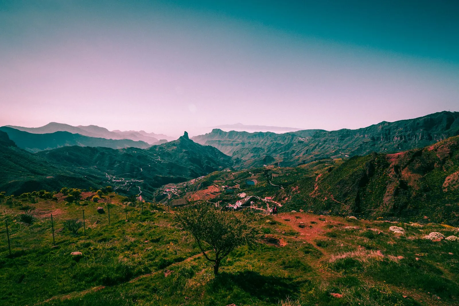 De veelzijdige natuur op Gran Canaria