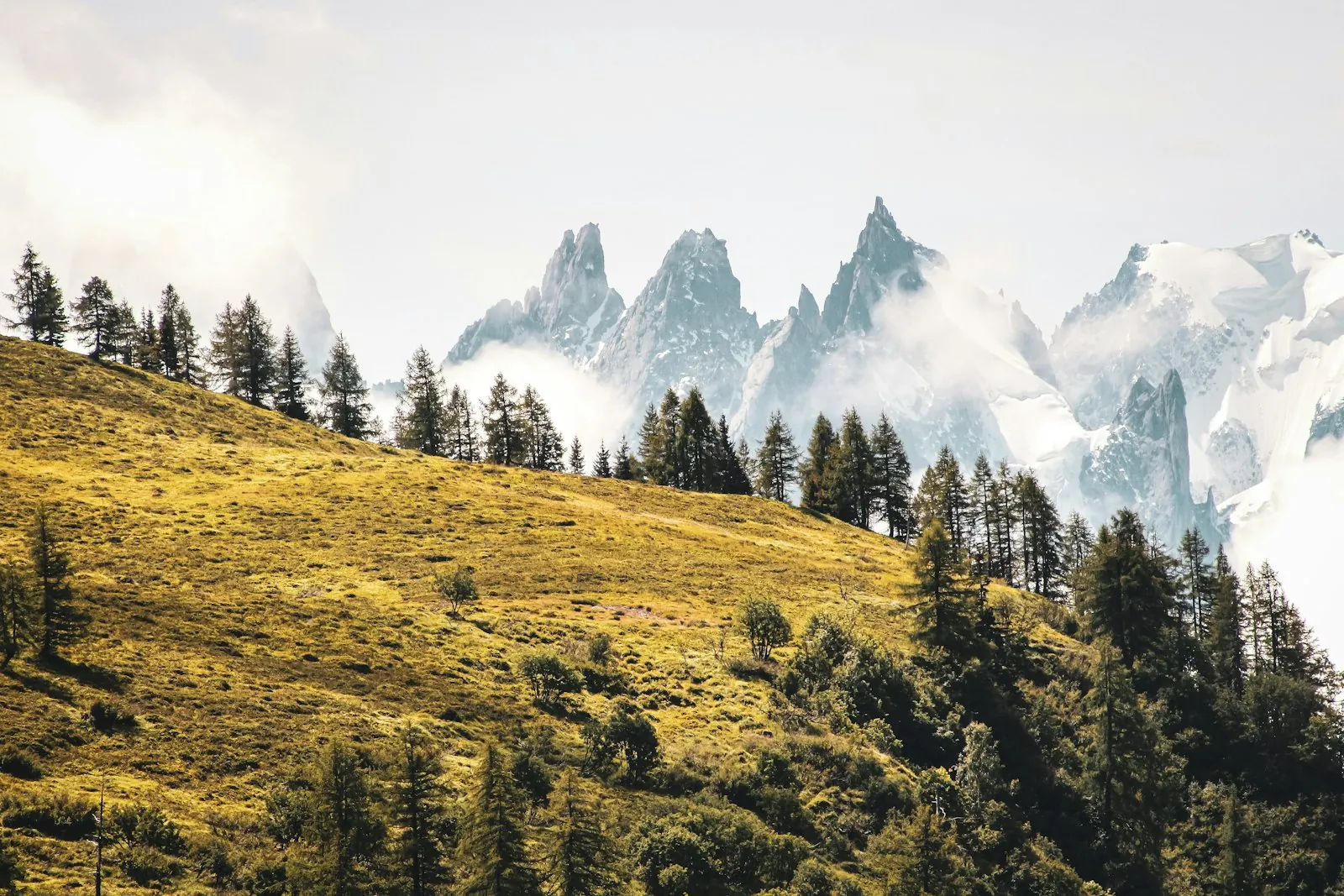 Hoe plan je een actieve dag in de natuur van Chamonix