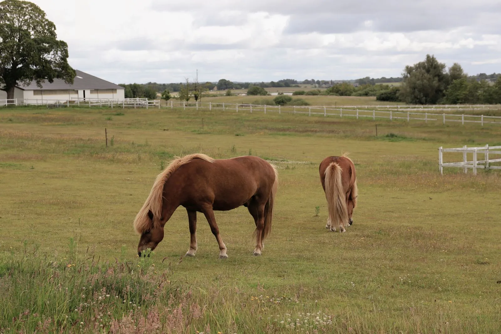 Vakantiehuis boerderijvakantie in Denemarken