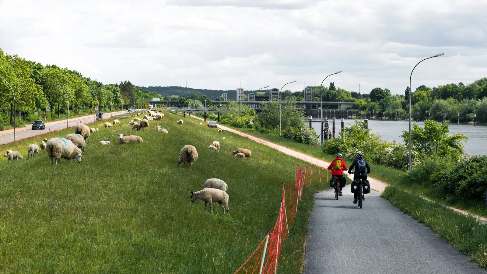 Langs de Elbe: een fietsroute met uitzicht