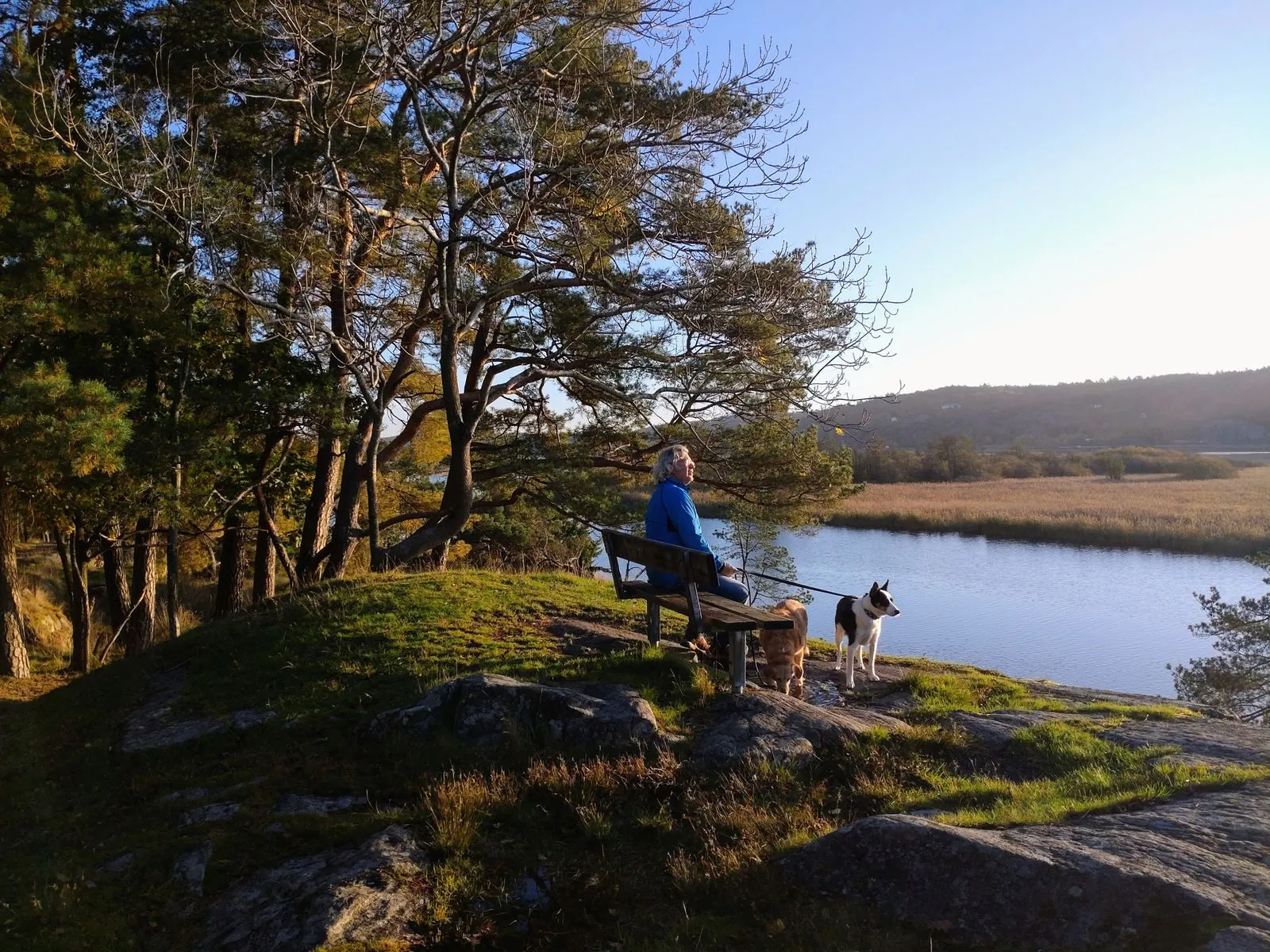 Natuurreservaat Kungälv: wandelen in het groen