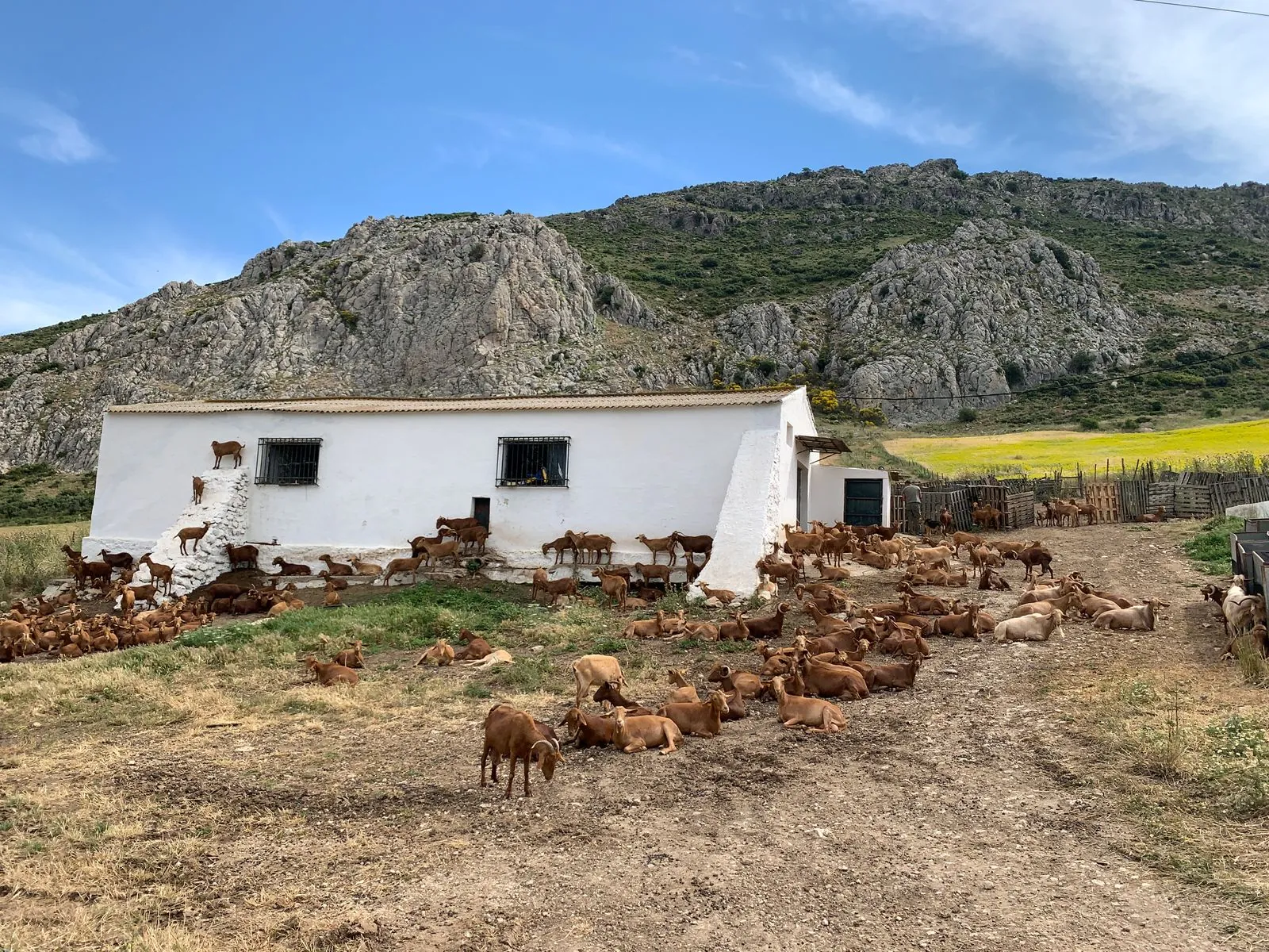 Vakantiehuis boerderijvakantie in Spanje