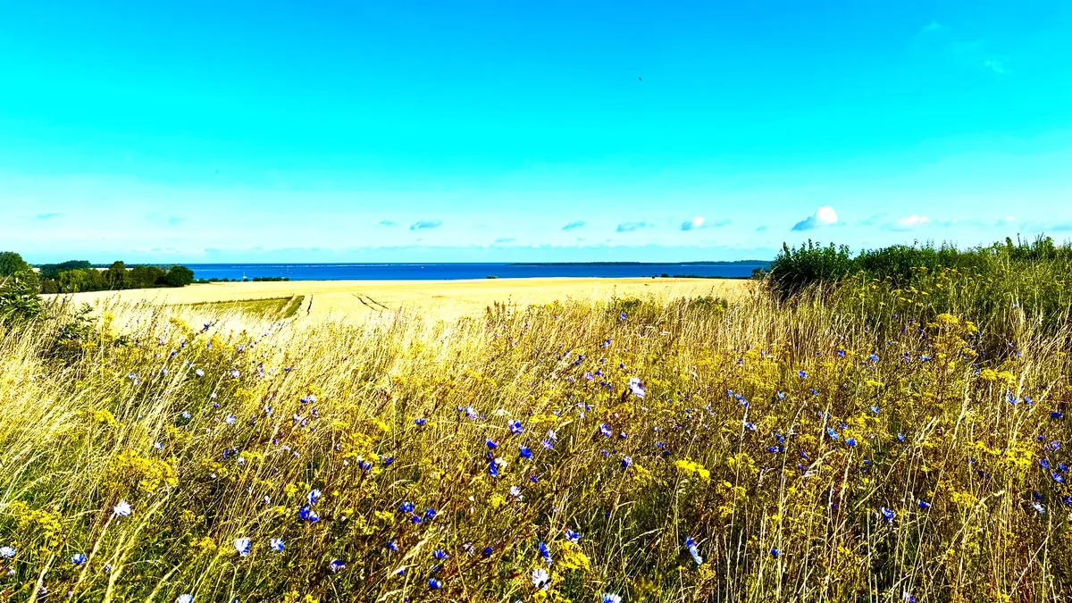 Zingst