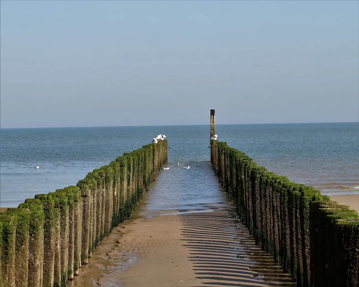 Callantsoog