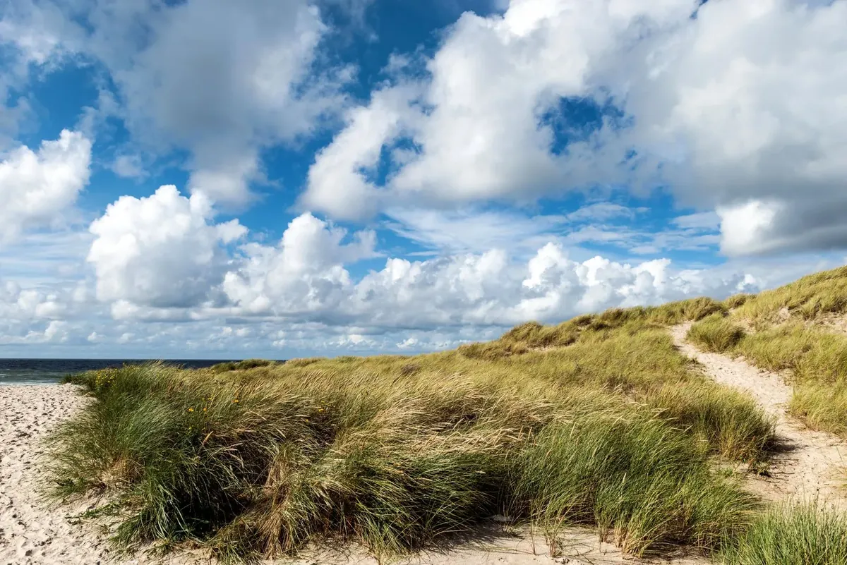 Henne Strand