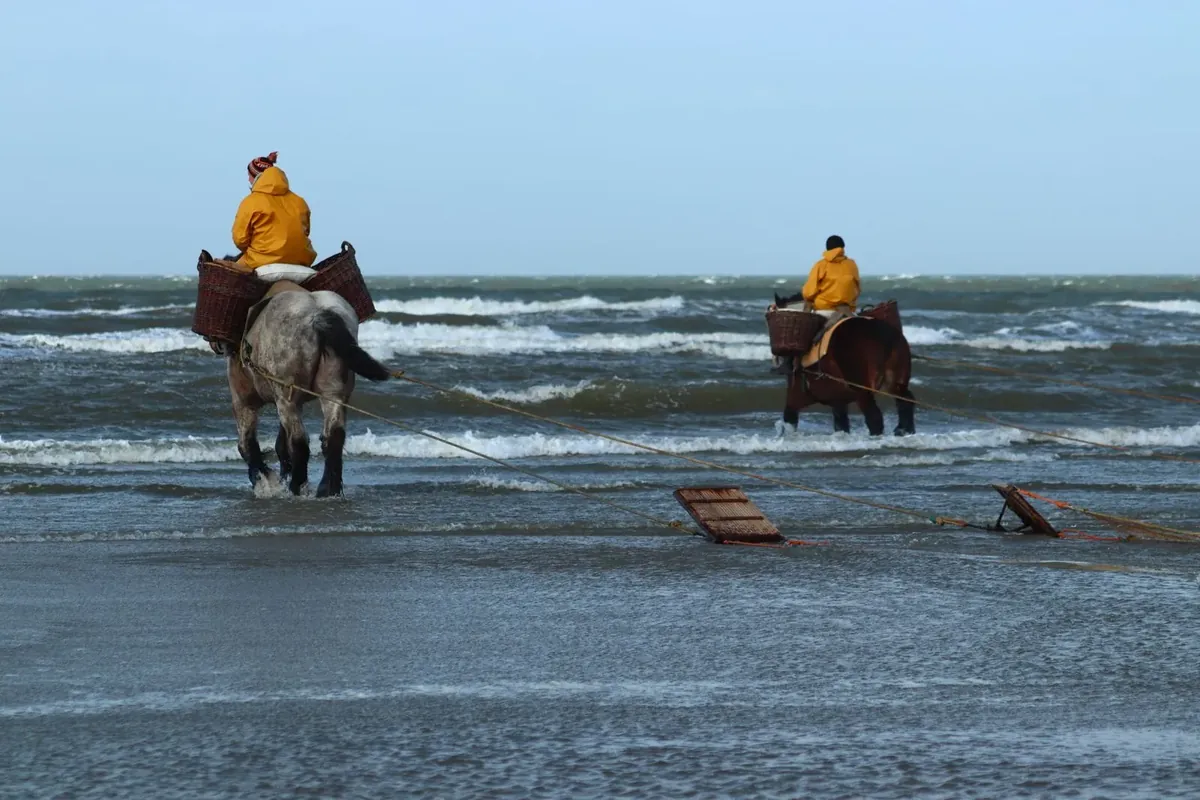 Koksijde