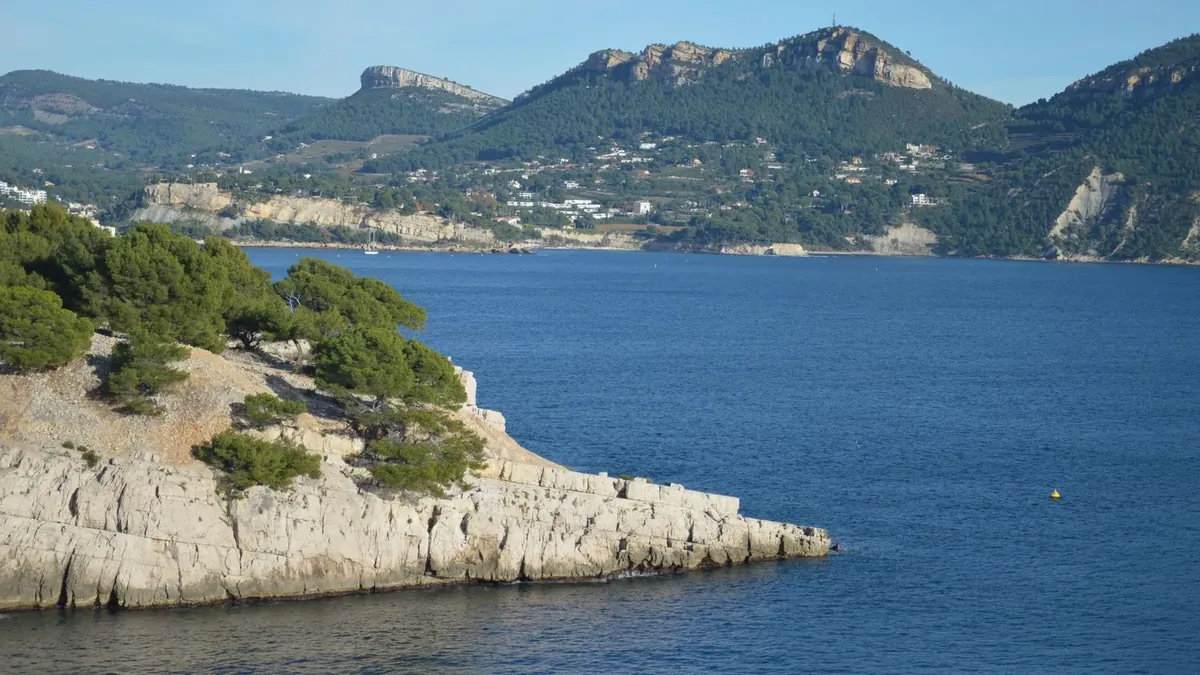 Cassis