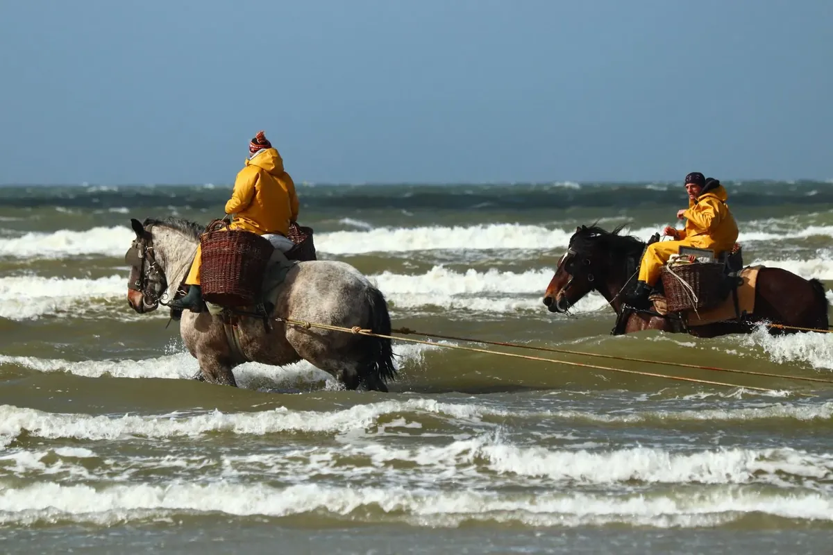 Koksijde