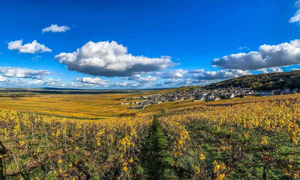 Lévigny