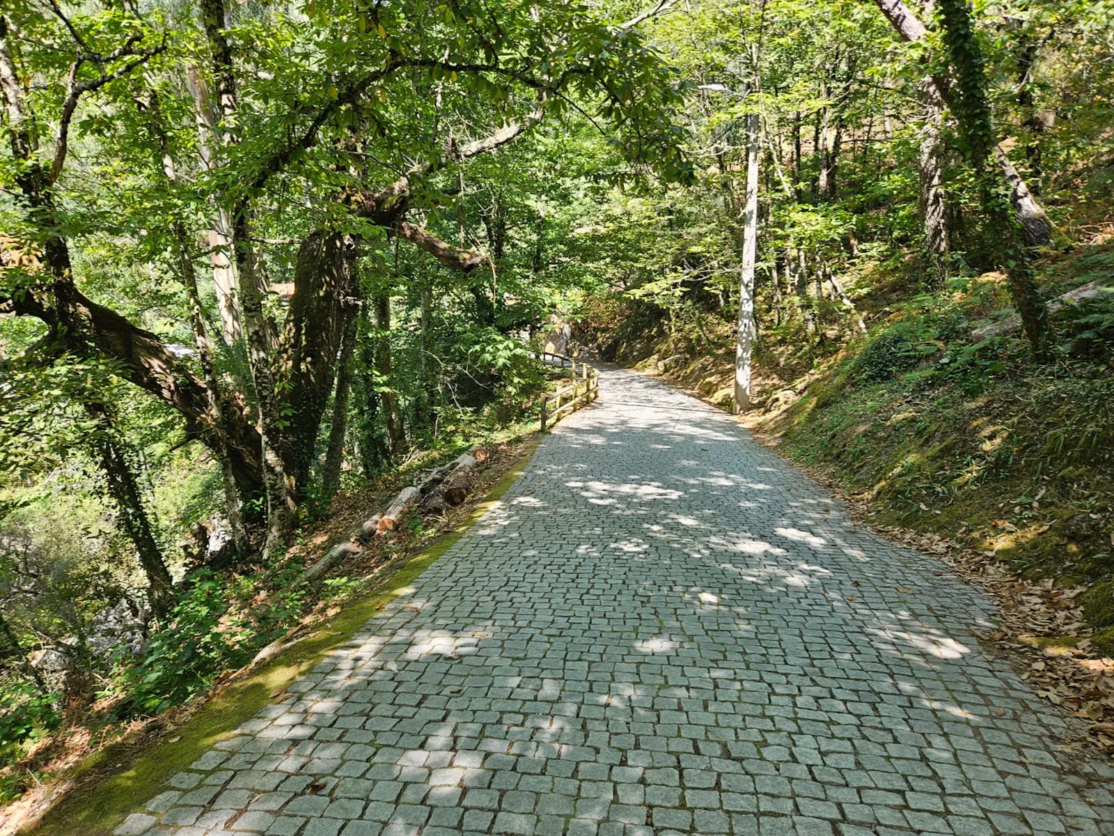 Wandelen door het historische centrum van Guarda