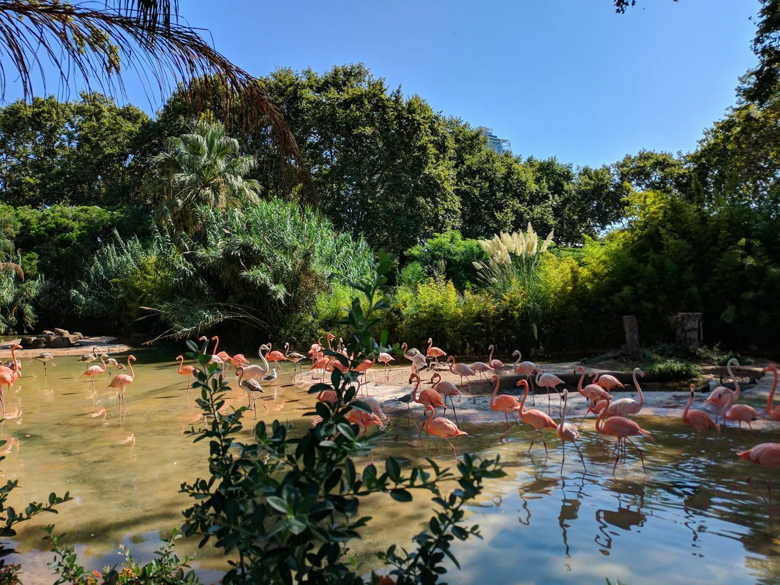 Bezoek aan dierenpark Cabárceno