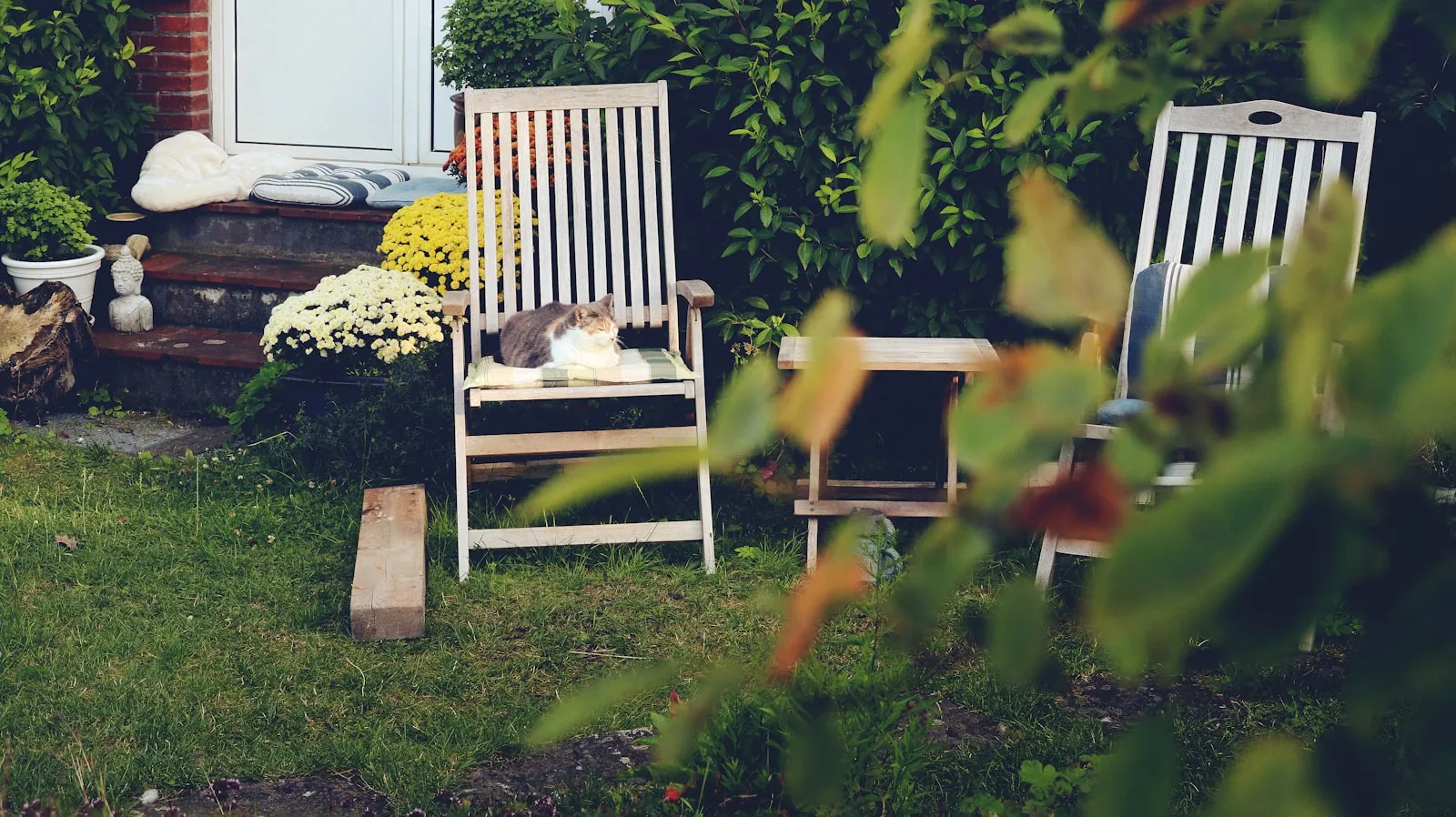 Vakantiehuis hond welkom in Duitsland