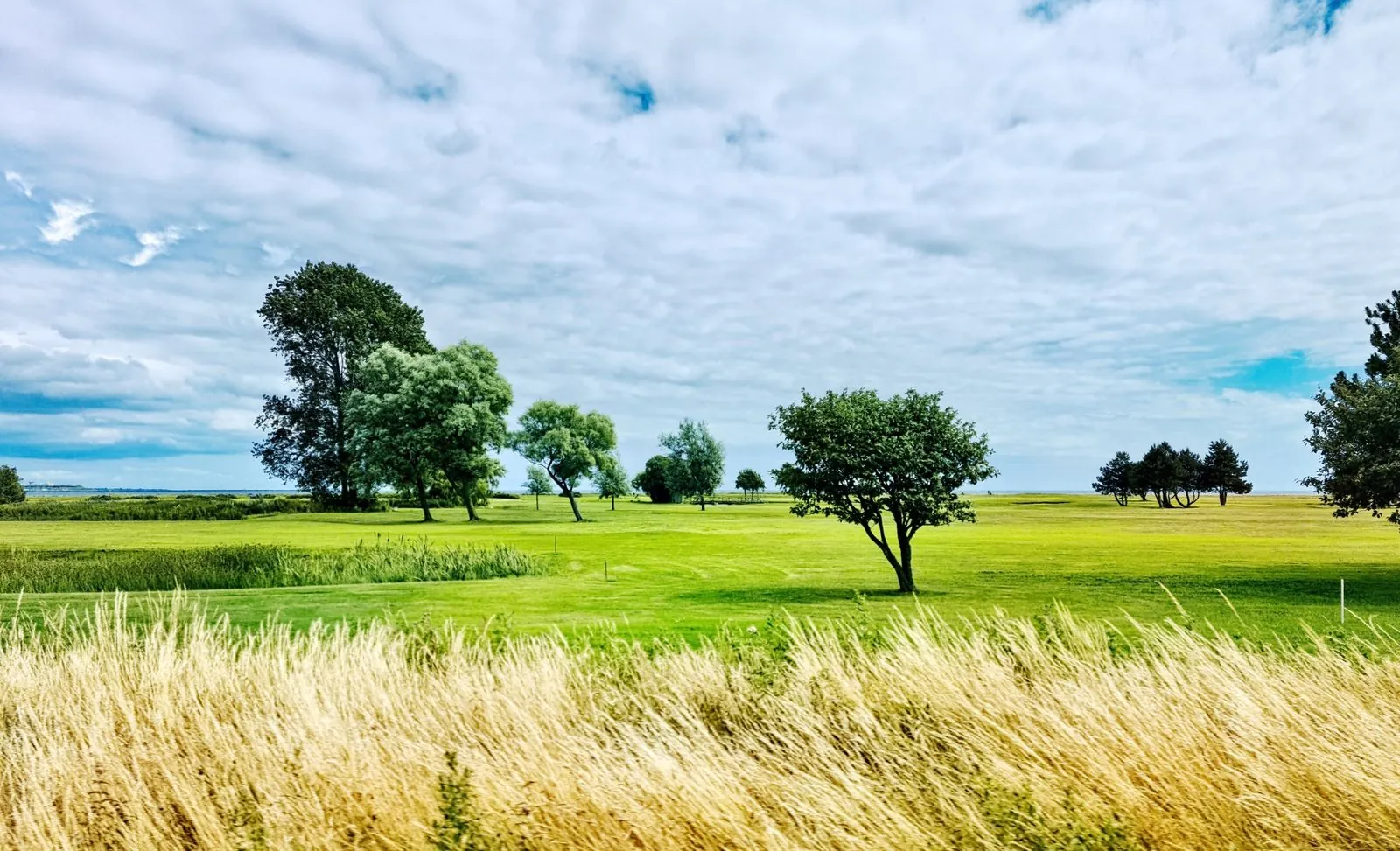 Genieten van de natuur in Österlen