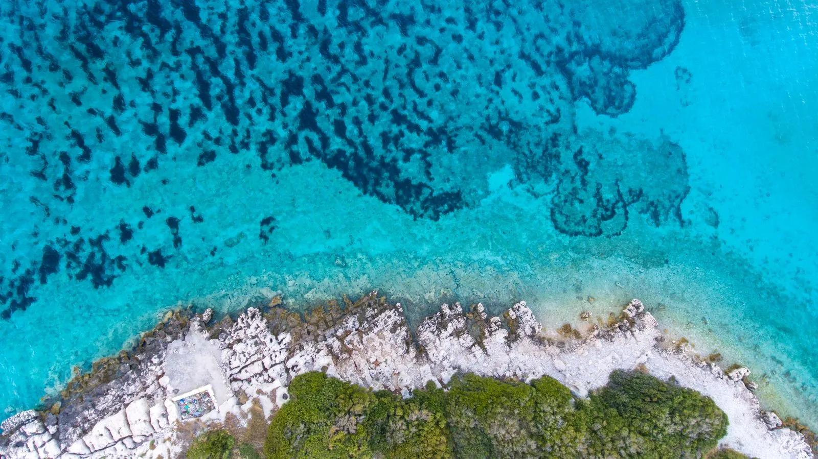 Zwemmen en spelen bij strand Rajska plaža op Rab eiland