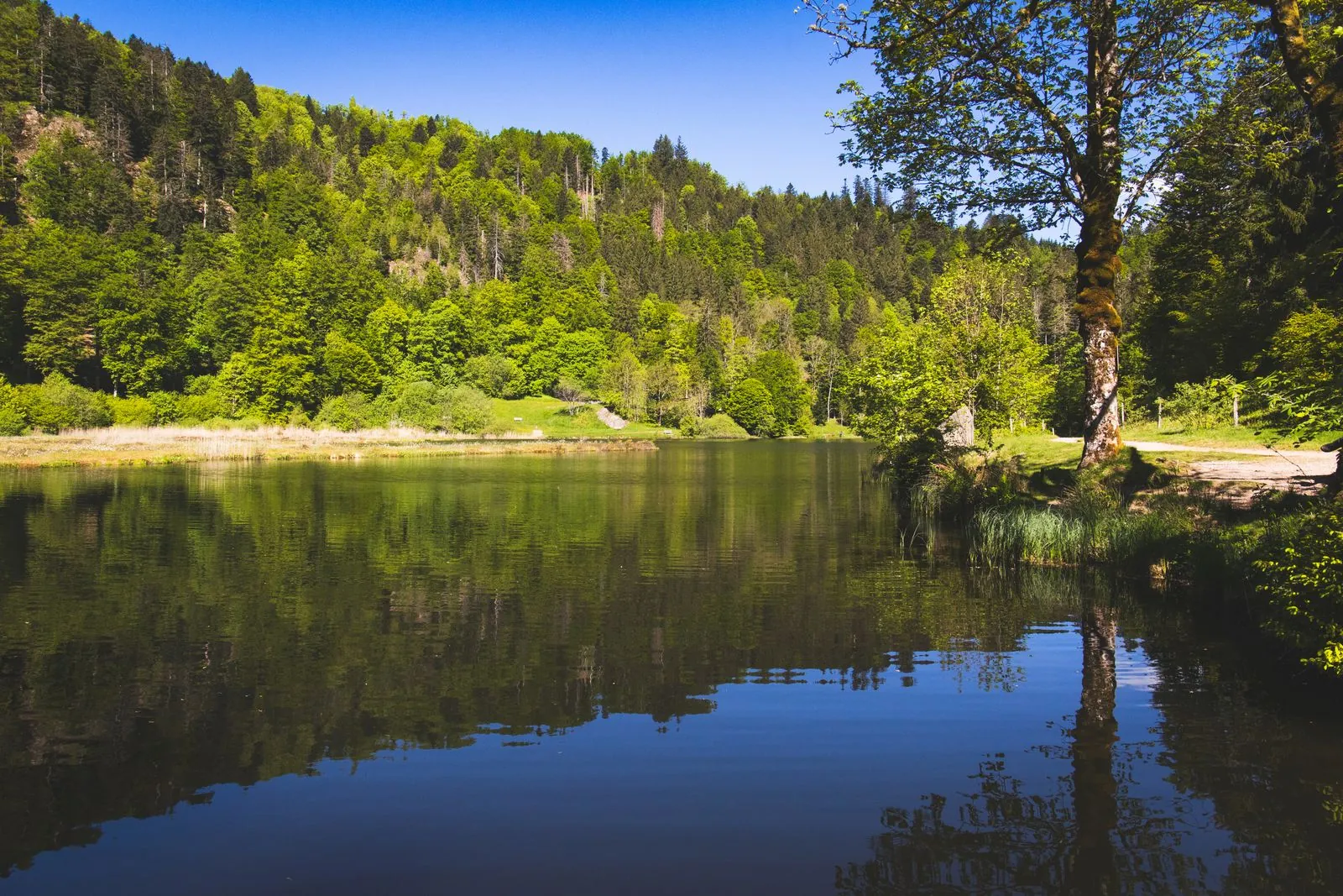Genieten van natuur in Nationaal Park Schwäbisch-Fränkischer Wald