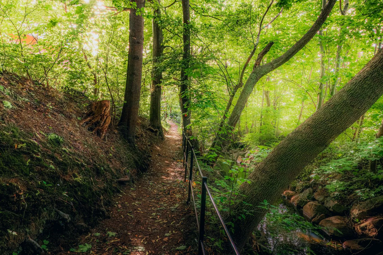 Wandelen in de natuur van Nationaal Park Söderåsen
