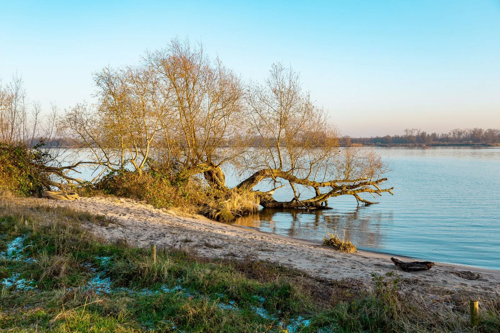 Fluisterboottocht in de Brabantse Biesbosch
