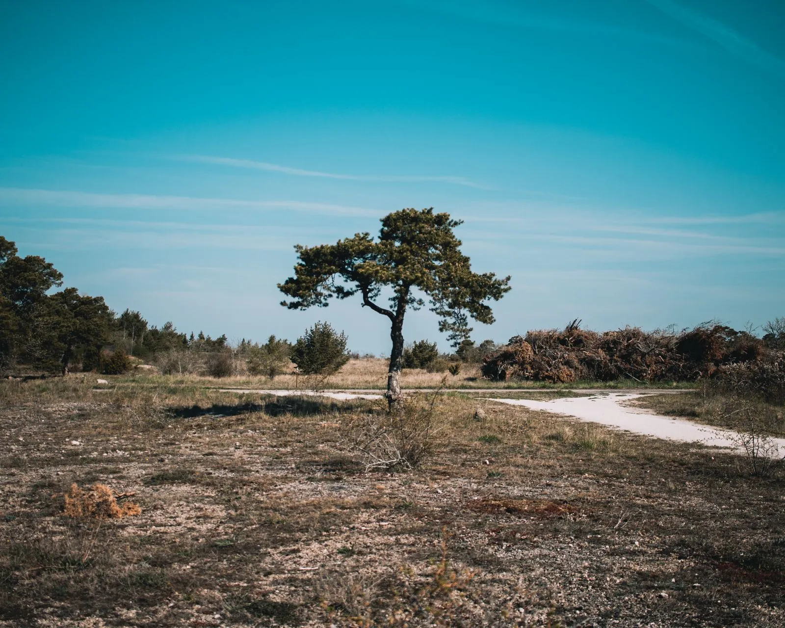 Wandelen door het natuurreservaat Hall Hangvar