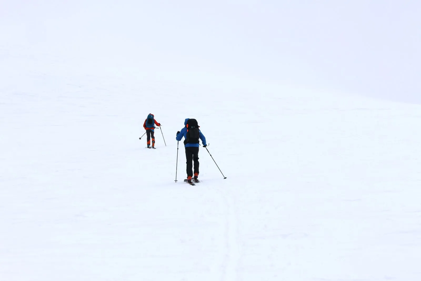 Sneeuwpret voor het hele gezin: sleeën en skiën in Jämtland