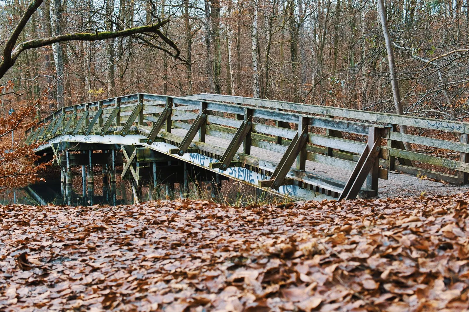 Wandelen in het Nationaal Park Unteres Odertal