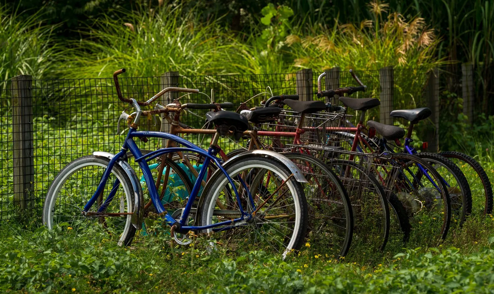 Vakantiehuis fietsvakantie in Griekenland