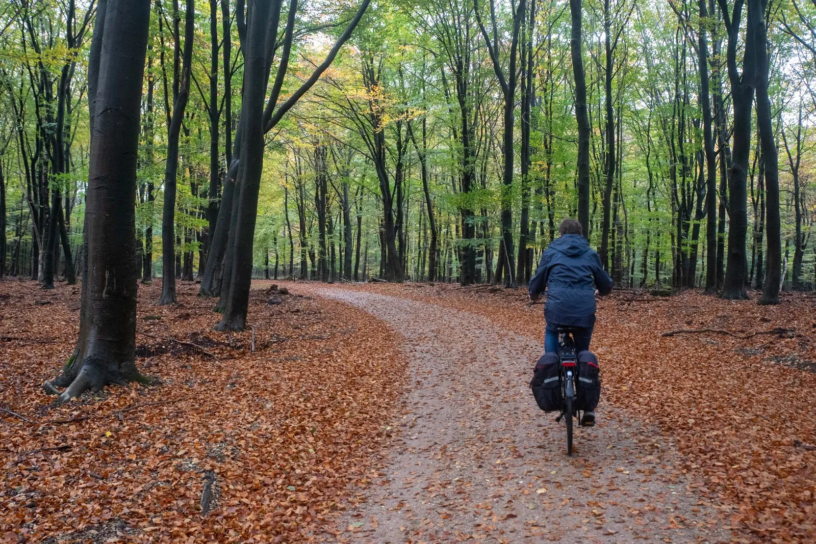 Fietsen door de bossen van Oranjezon