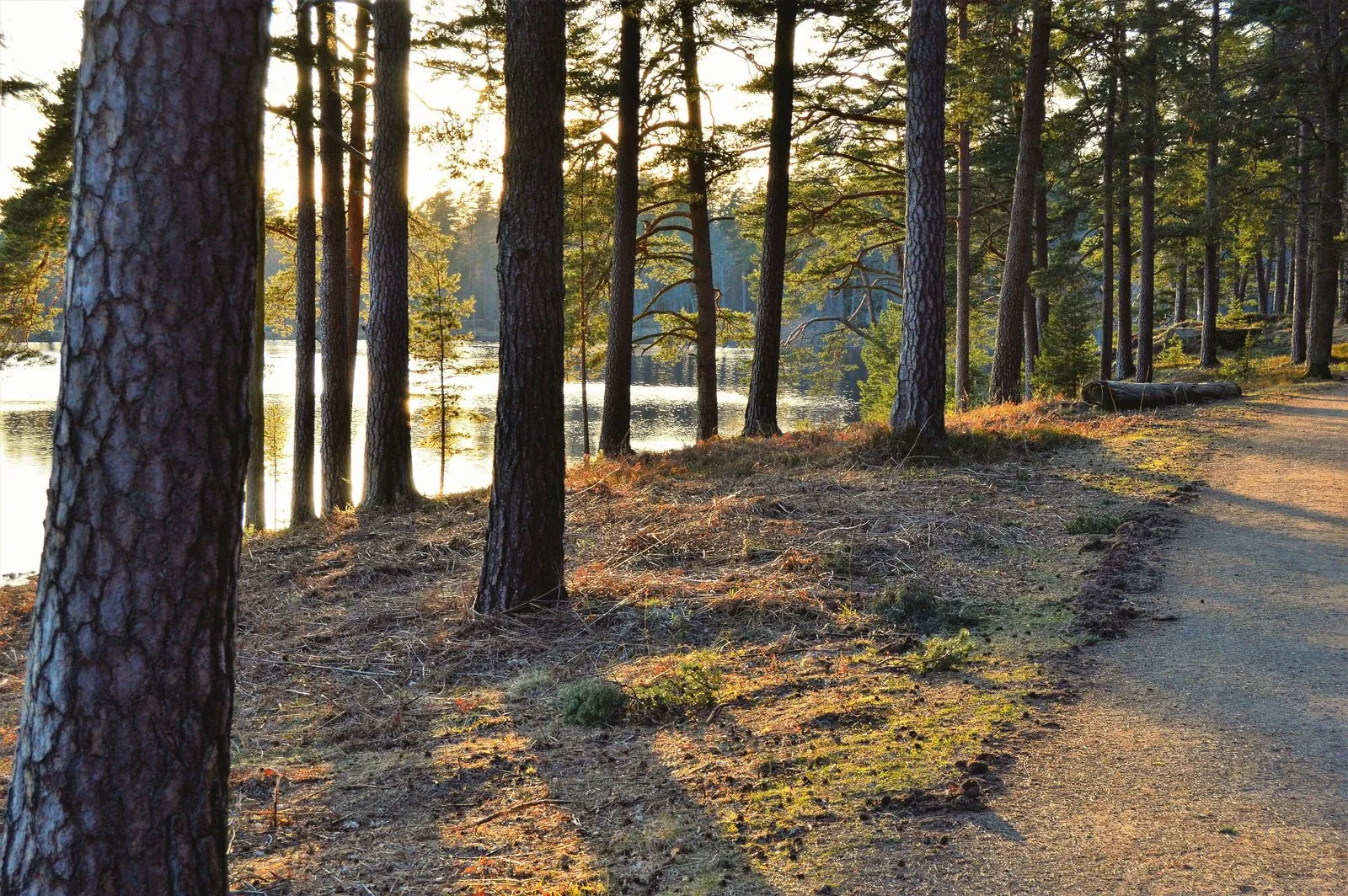 Wandelroutes rond het meer van Järvsö