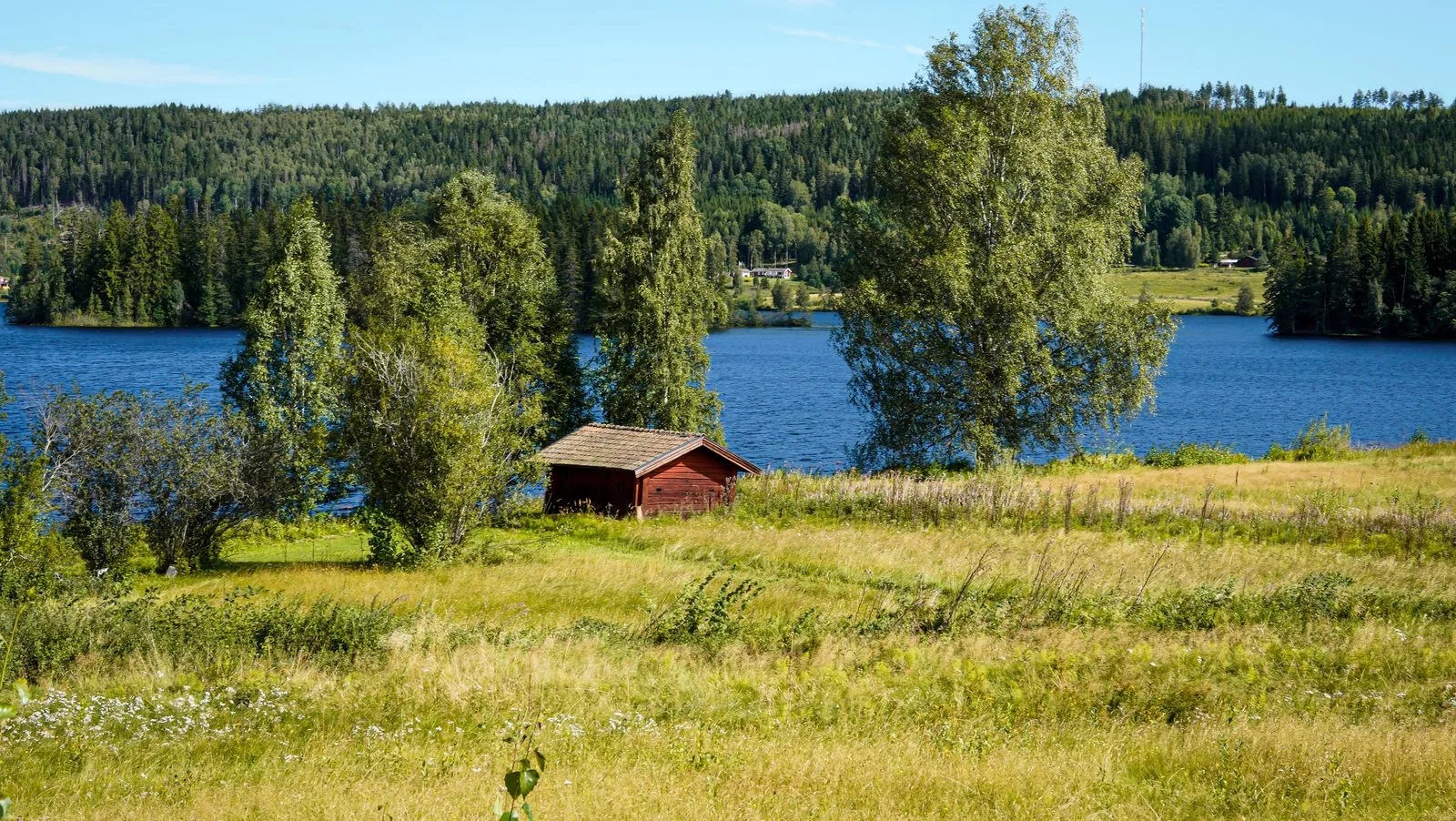 Op elandensafari in Värmland
