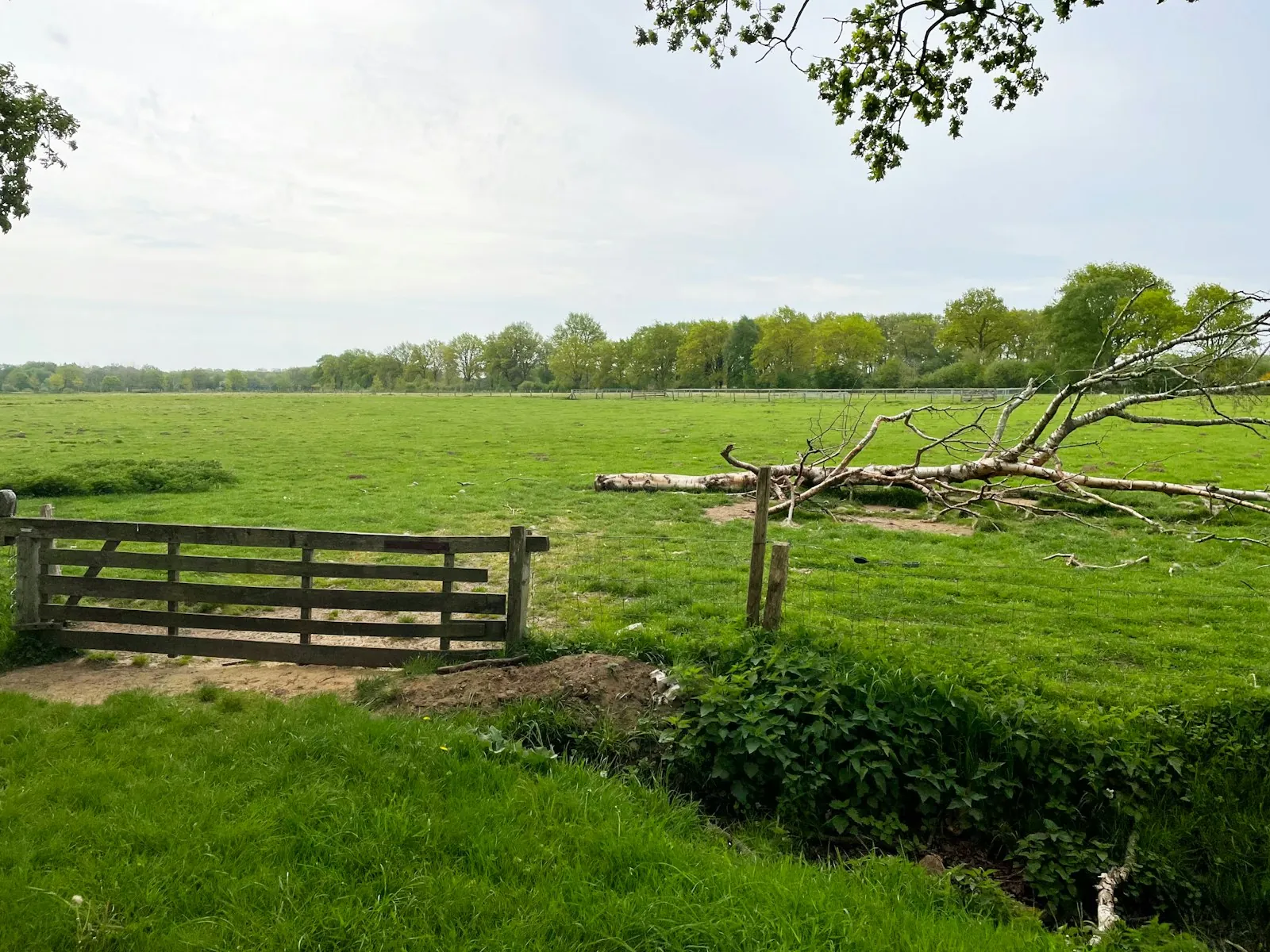 Vakantiehuis in Drenthe