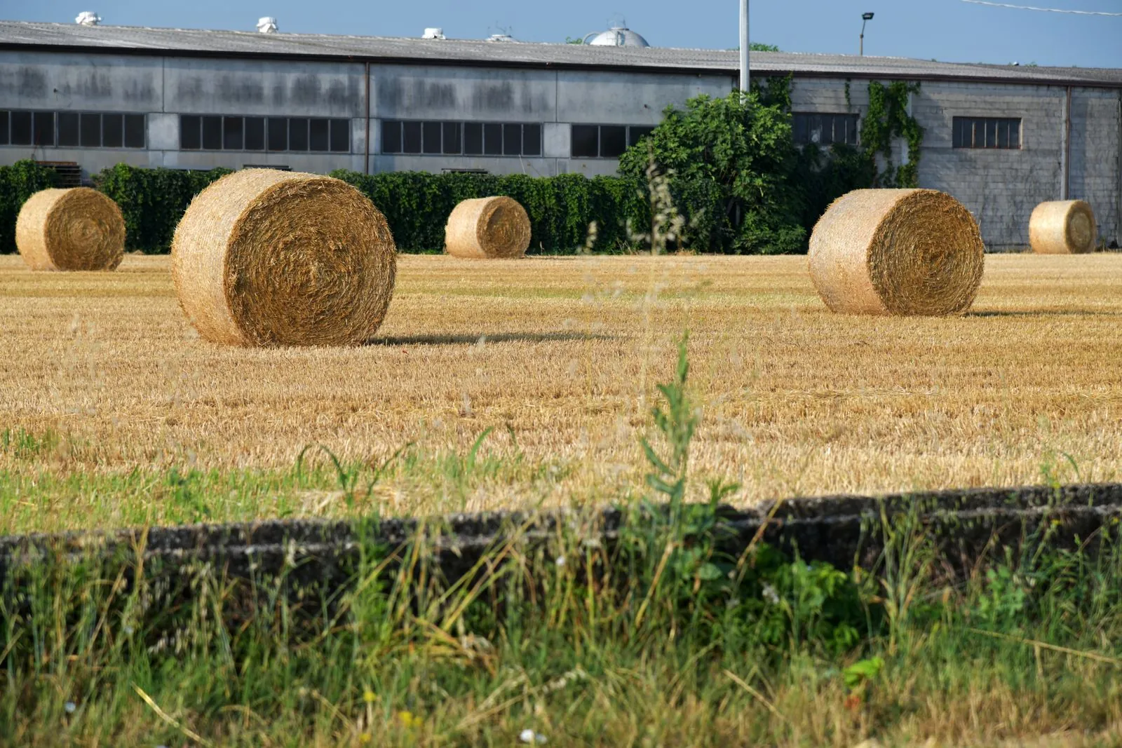 Vakantiehuis boerderijvakantie in Italië