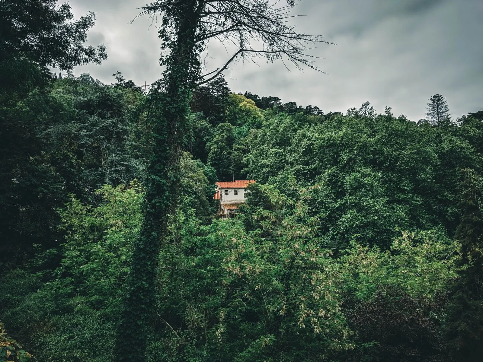 Vakantiehuis in de natuur in Portugal