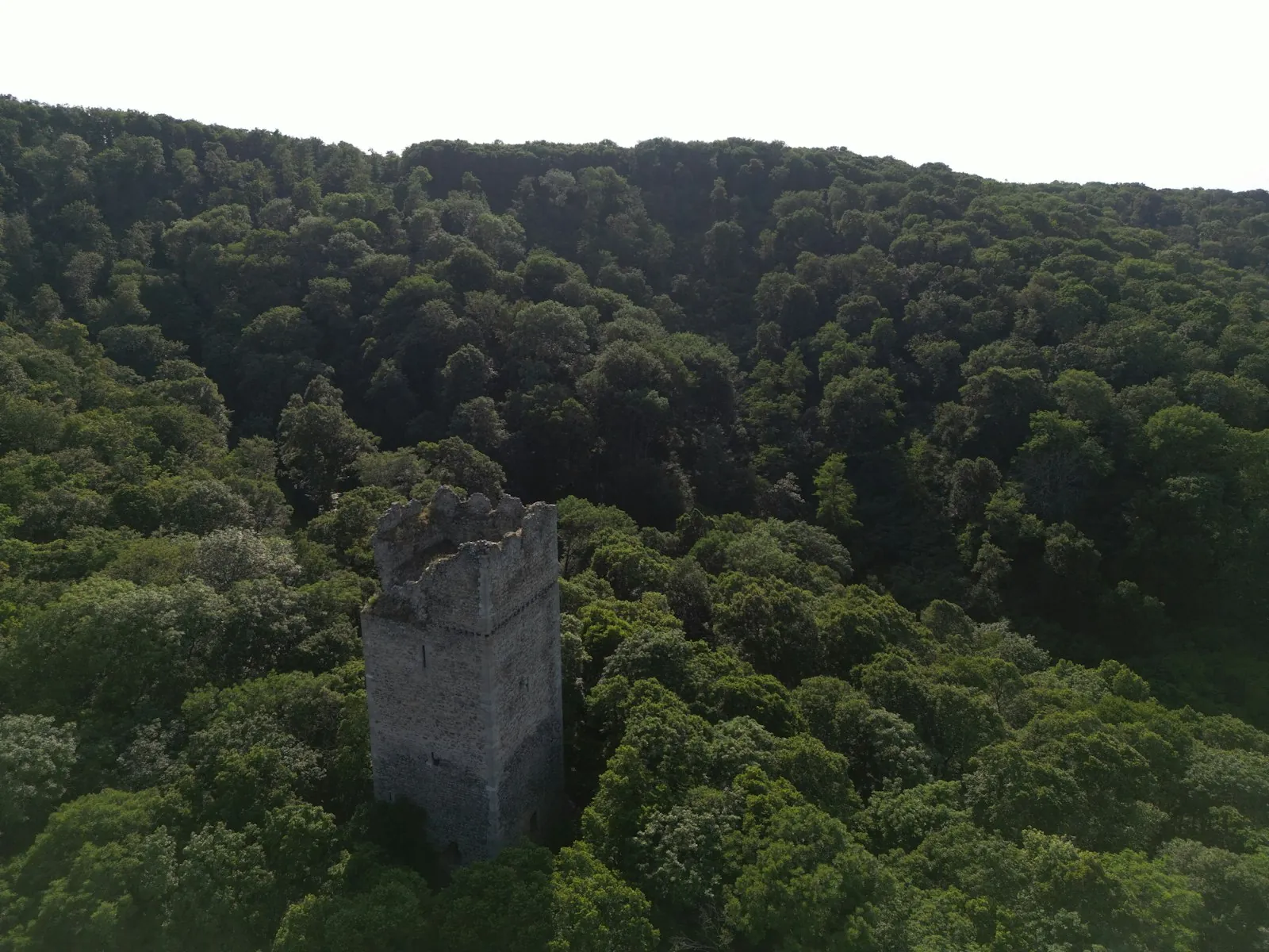 Vakantiehuis in Burgenland